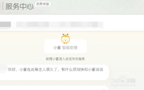 二、 如何与卖家客服沟通
