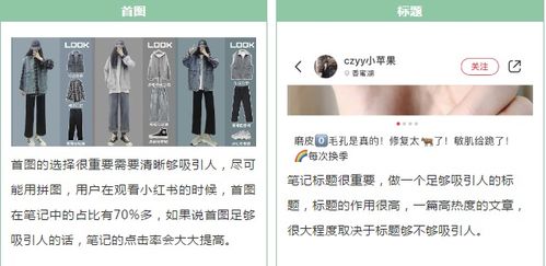 二、 打造独特的品牌号，提升品牌影响力