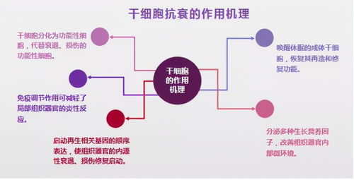 出口代理如何成为结关流程中的得力助手
