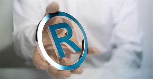 四、 ozon俄罗斯注册商标的查询