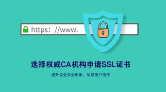 选择靠谱服务商的6大标准