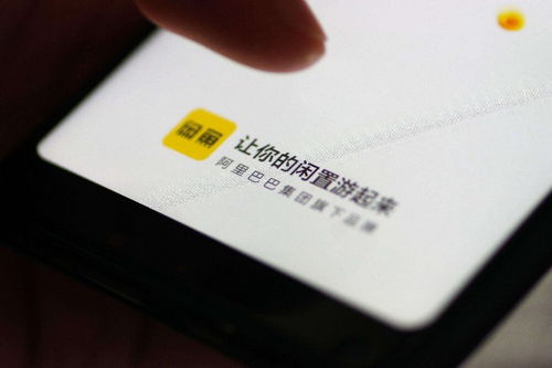 四、 闲鱼理赔流程及注意事项