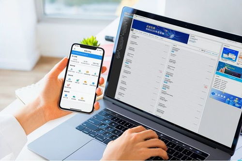 定制化设置与提醒