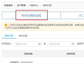 四、 淘宝被投诉后的处理流程与目的