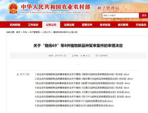 1. 分析原因， 重新调整策略