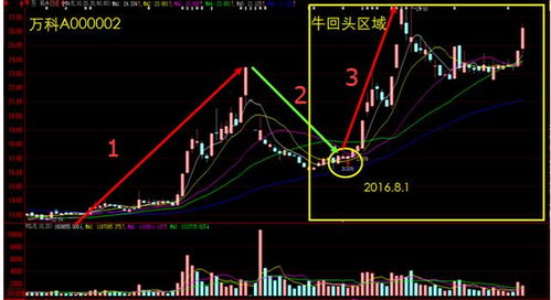 外资加大对中国股票配置