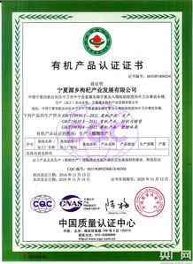 品牌支持：官方认证与合作增加可靠性