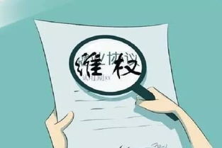 审慎选择供应商：降低侵权风险