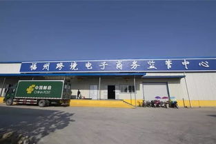 物流通道拓展与通关效率提升：外贸发展注入新活力