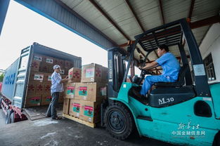 一、 卡车派送服务在跨境电商中的重要性