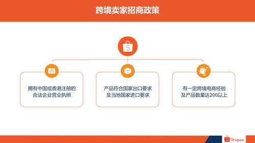 三、 无网店经验者的解决方案：灵活变通与合理应对