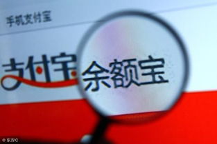 1. 余额宝与天弘基金的合作关系