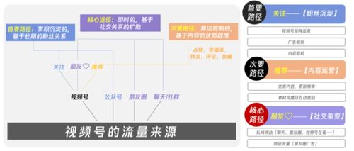 视频号流量来源：社交裂变的力量