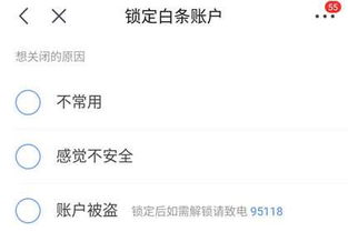 一、 白条使用与信用记录的关系