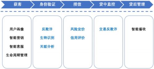 市场调研与竞争分析