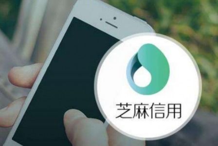 闲鱼芝麻信用分的含义与应用