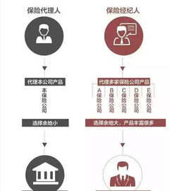 一、 定义与适用范围