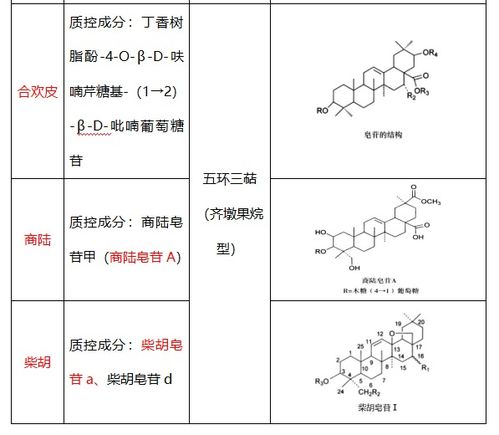 三、 REACH报告的检测项目