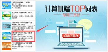 五、 补单Zuo精准词拉搜索权重