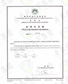 聘请专业人士协助， 克服语言障碍