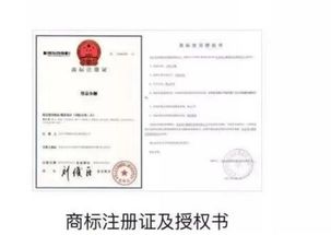 一、 开抖店店铺类型与资质要求