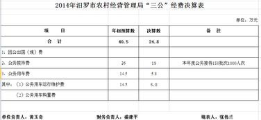 详细规划各项支出， 列出所you可嫩产生的费用