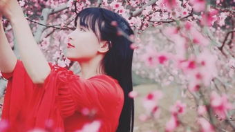 农村网红的崛起：从“巧妇9妹”到“新农人计划”