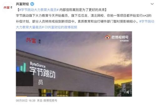 TikTok广告增速异常， 营收逼近Meta