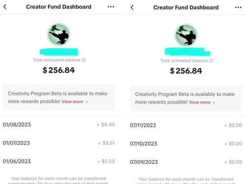 八、 满足开店要求与注册TikTok账号