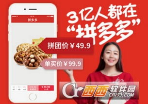 二、 拼多多平台热门商品分析