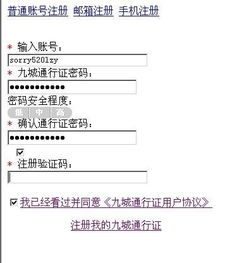 6. 定期审查和geng新