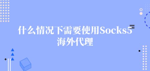 一、 海外Socks5代理服务的连接方式