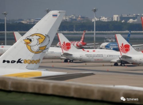 针对空运费用的复杂性