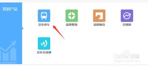 3. 输入充值金额