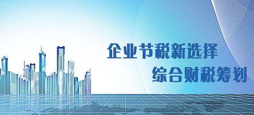 税收优惠政策与专业税务指导