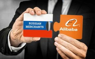 产品描述与市场趋势