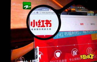 二、涨粉到一千要多久？