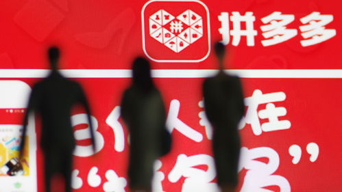 四、 多报名活动