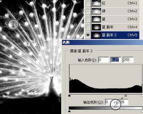 2. 超级推荐设置操作解析