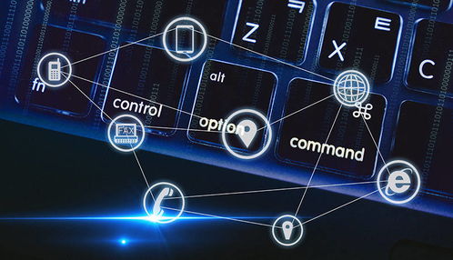 独立站不仅是销售平台， geng是品牌展示和客户沟通的窗口