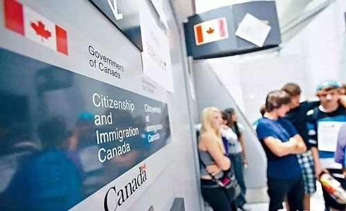 三、 Etsy加拿大站的机遇与挑战