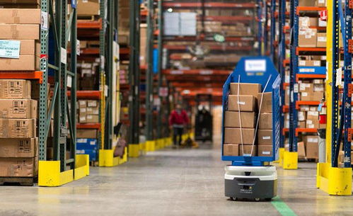 包装与标记、定期盘点