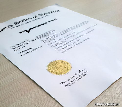 五、 准备申请材料：详尽准备，确保申请顺利