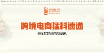 四、 支票：大额提现的可靠选择