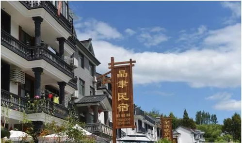 三、 乡村网红的质疑与反思