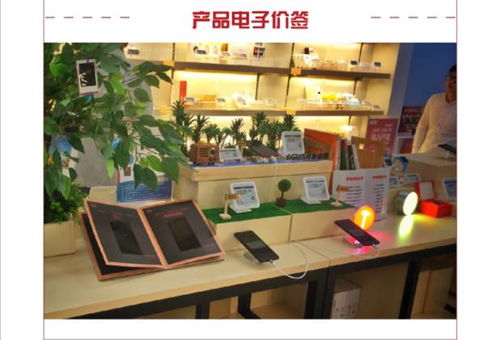 一、 旗舰店的定义与特点