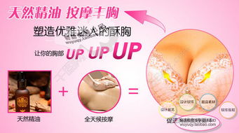 一、 行业背景与招商会意义