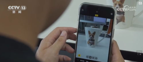 商品描述与实物拍摄