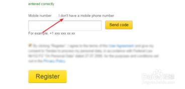 Yandex账号注册与登录的详细步骤