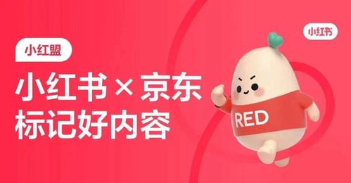 四、 直播挂产品合规性分析